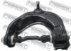 FEBEST 1224-PORLH Track Control Arm